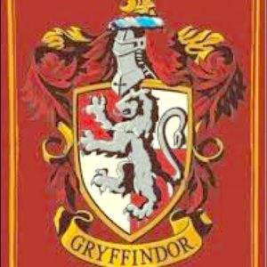 Harry Potter Bundle and Save